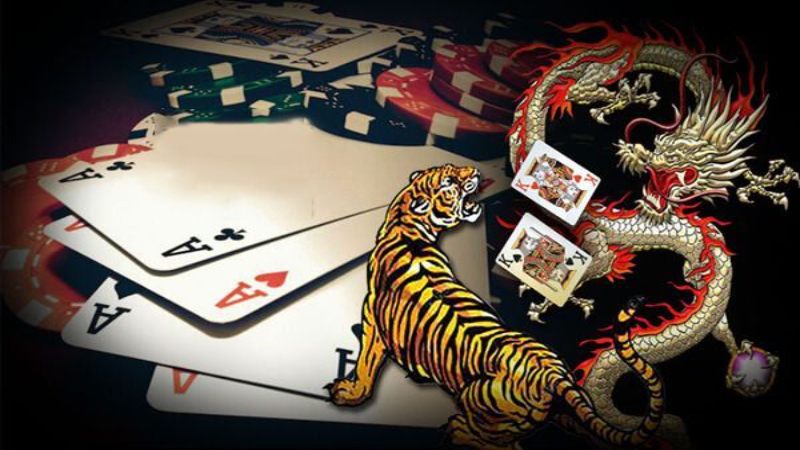 Lựa chọn c&aacute;ch đặt cửa rồng hổ cho người mới chơi